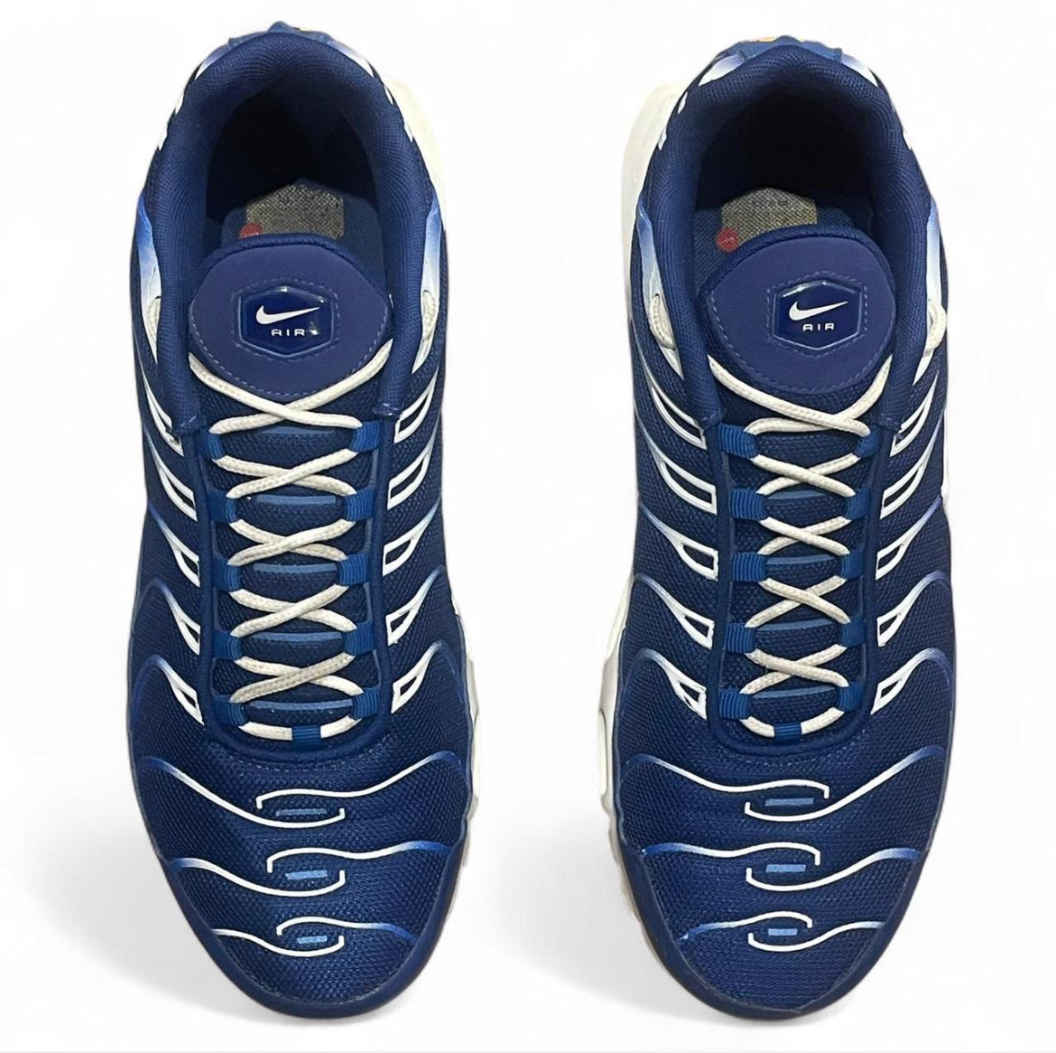 CW7024-400 Nike Air Max Plus TN ‘Arctic Chill’ (2020)