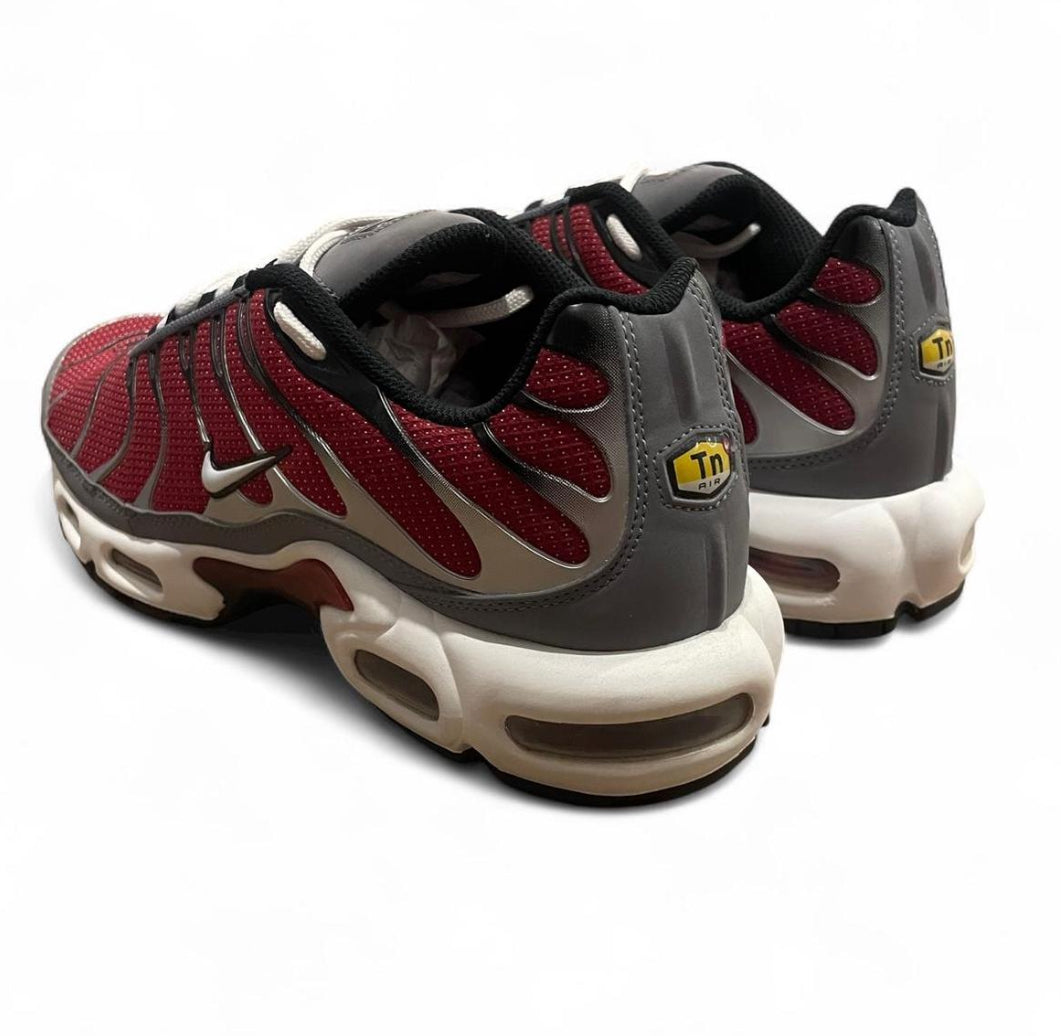 DQ3983-600 Nike Air Max Plus TN ‘Red Grey’ (2022)