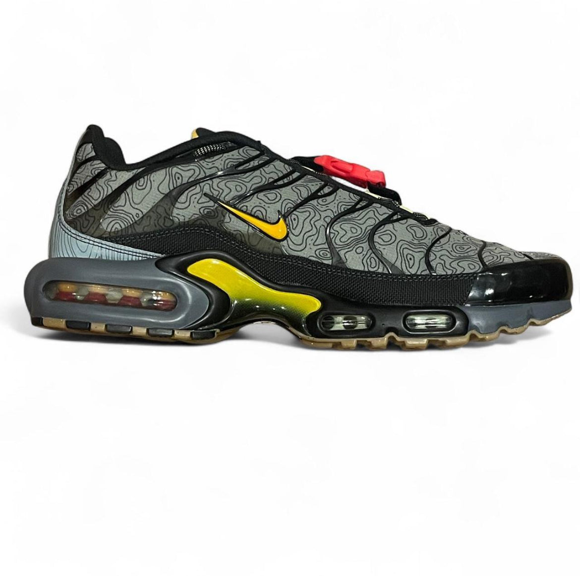 DC7392-300 Nike Air Max Plus TN ‘Fresh Perspective’ (2020)