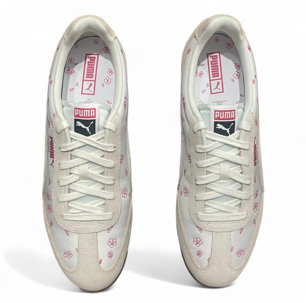 403772-01 Puma Arizona ‘Cherry Blossom’ (2025)