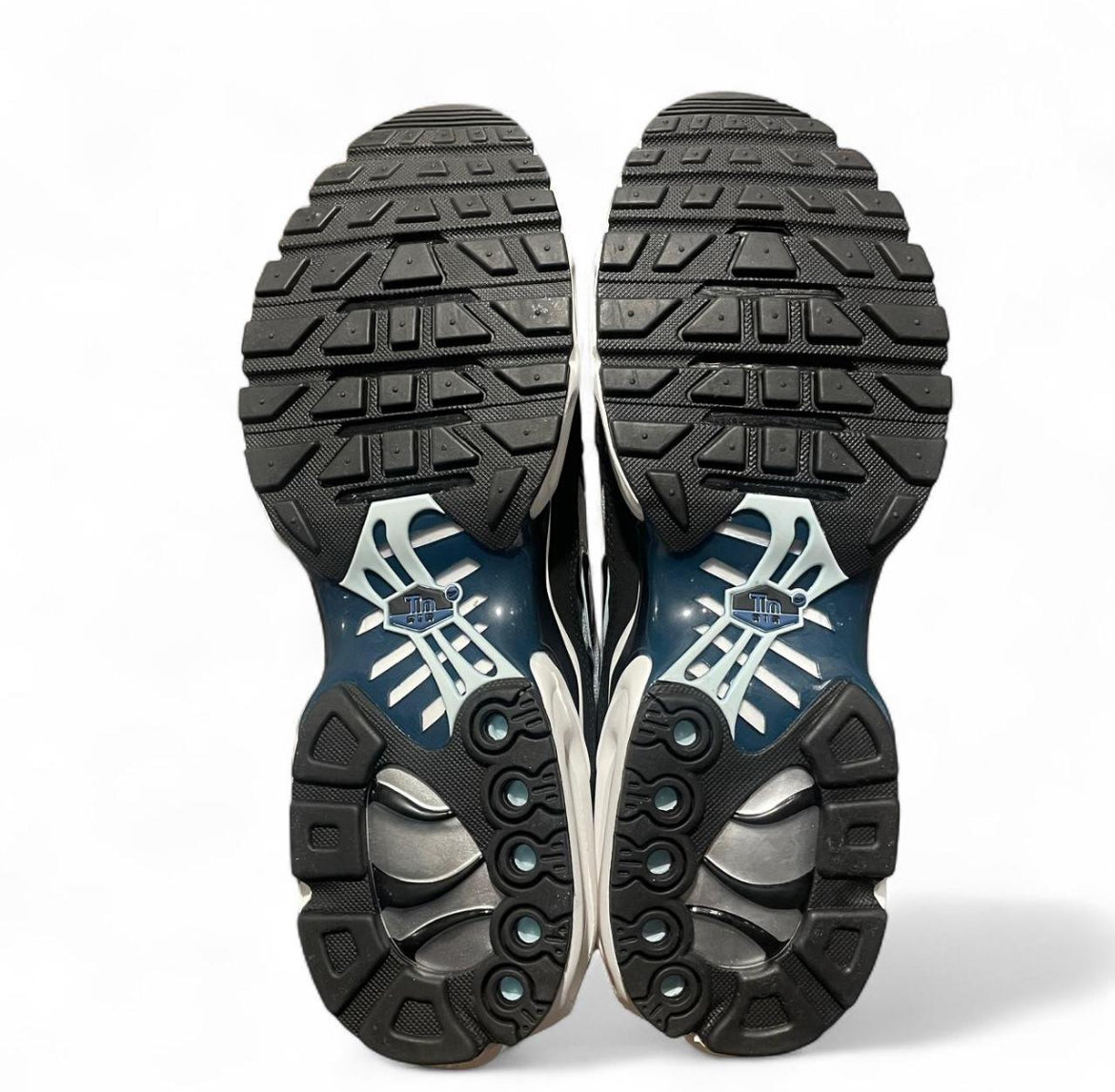 FN6949-001 Nike Air Max Plus TN ‘Pure Platinum Court Blue’ (2024)