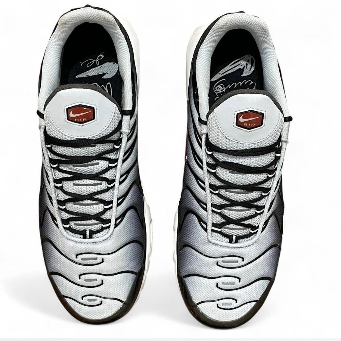 DM0032-008 Nike Air Max Plus TN ‘Swoosh Pack Blue Tint’ (2023)