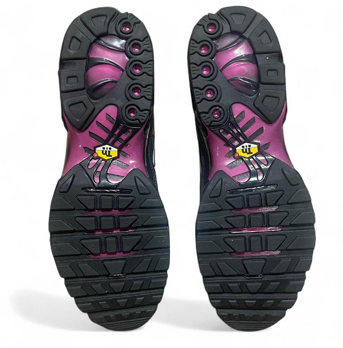 FJ5481-010 Nike Air Max Plus TN ‘Pink Sunset’ (2023)