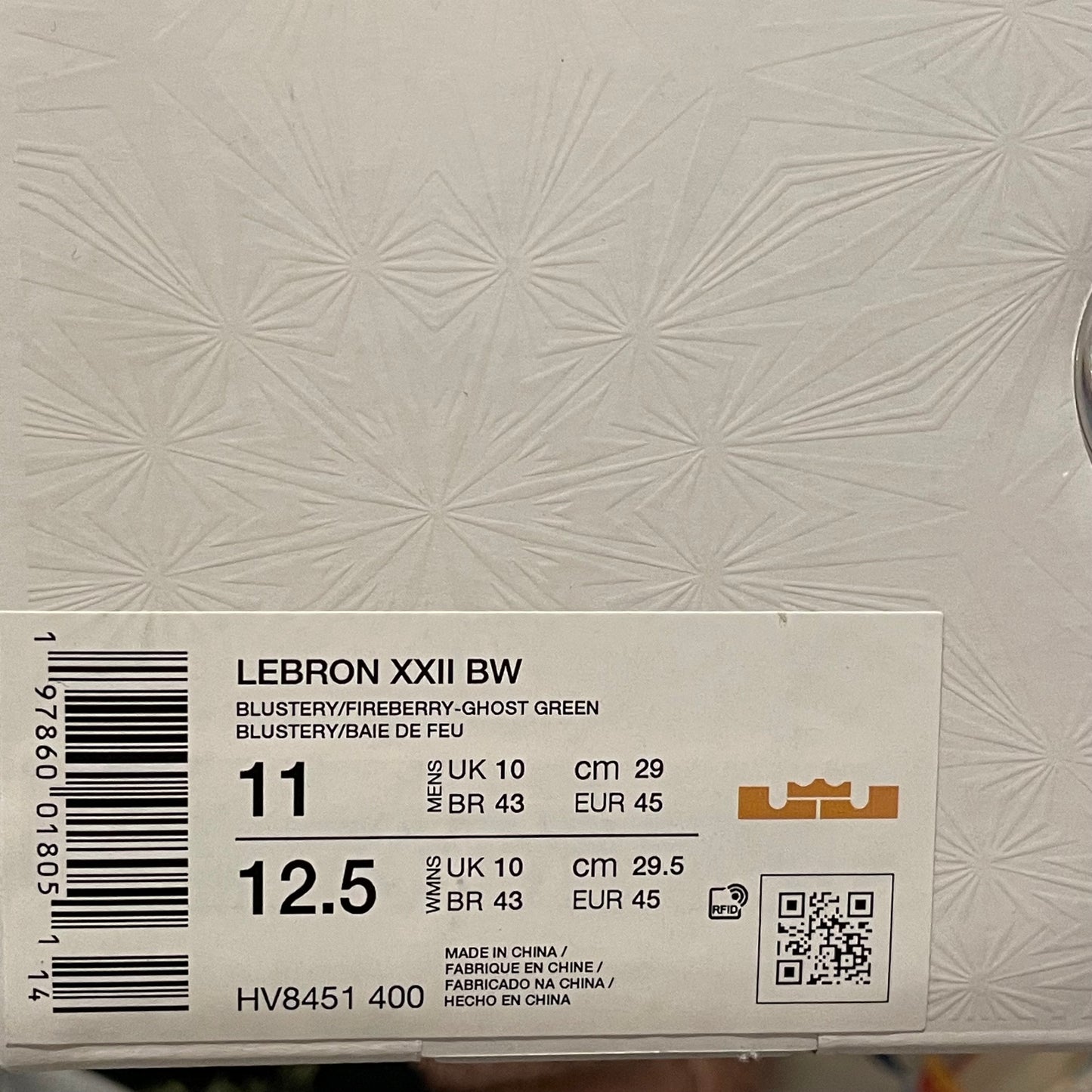 HV8451-400 Nike LeBron XXII ‘Bryce’s World’ (2025)