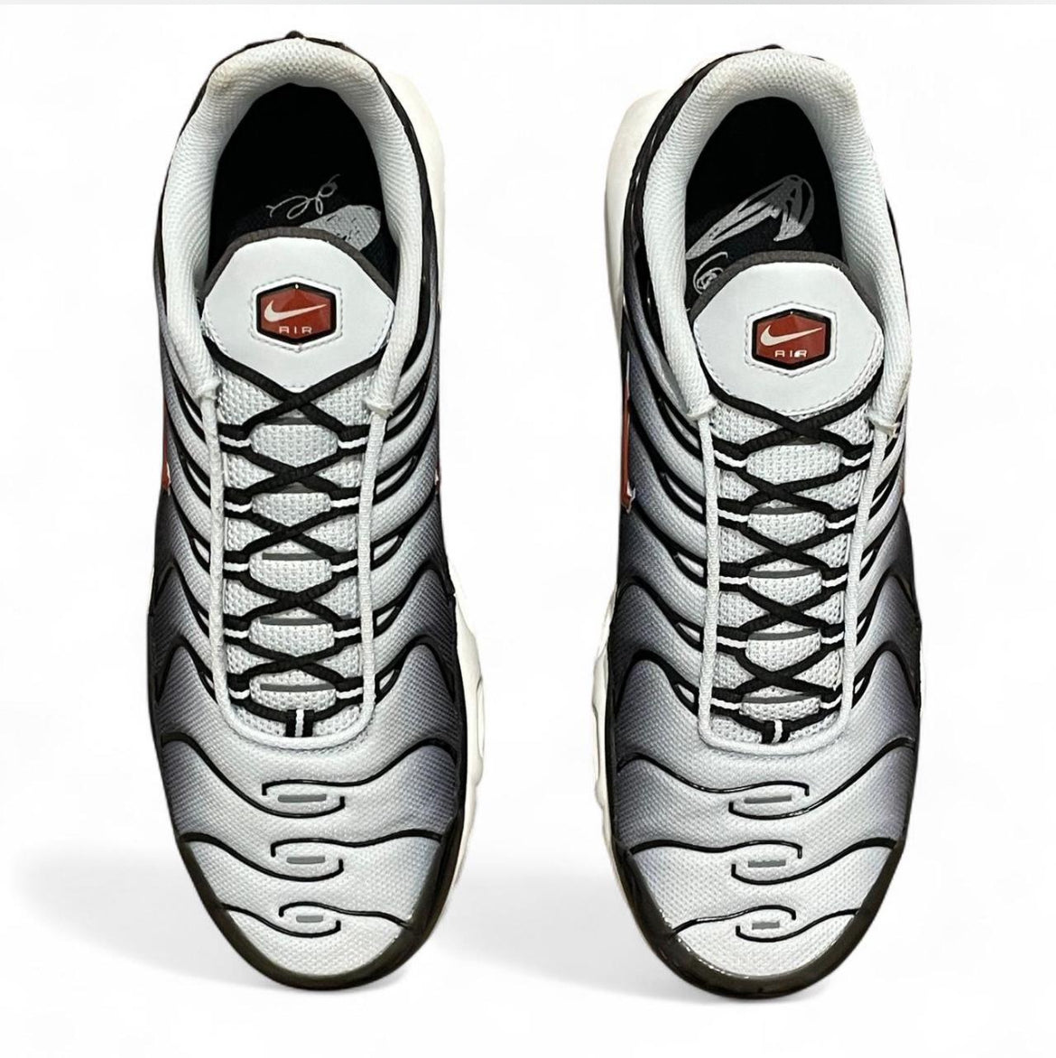 DM0032-008 Nike Air Max Plus TN ‘Swoosh Pack Blue Tint’ (2023)