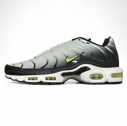 DM0032-006 Nike Air Max Plus TN ‘Bright Cactus’ (2023)