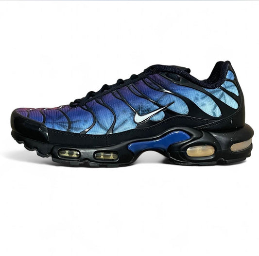 FV0393-001 Nike Air Max Plus TN ‘25th Anniversary’ (2023)