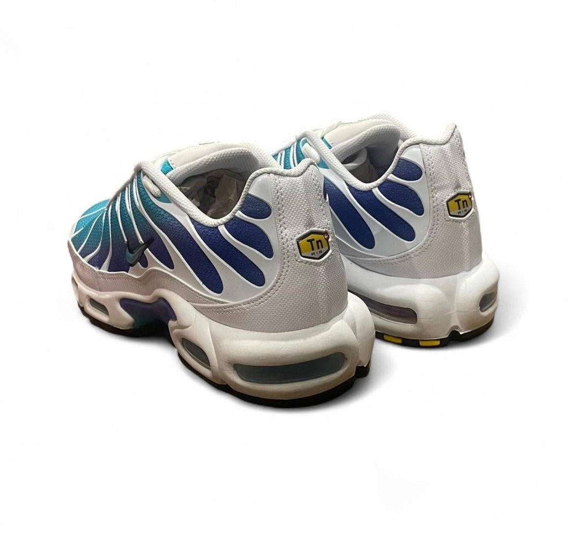 DM0032-102 Nike Air Max Plus TN ‘Aqua’ (2024)