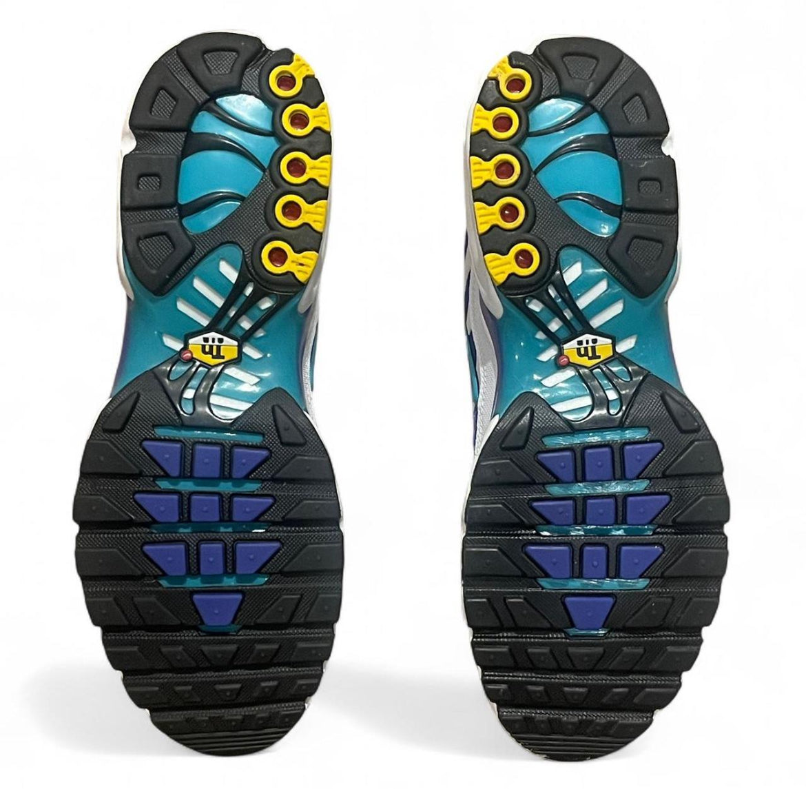 DM0032-102 Nike Air Max Plus TN ‘Aqua’ (2024)