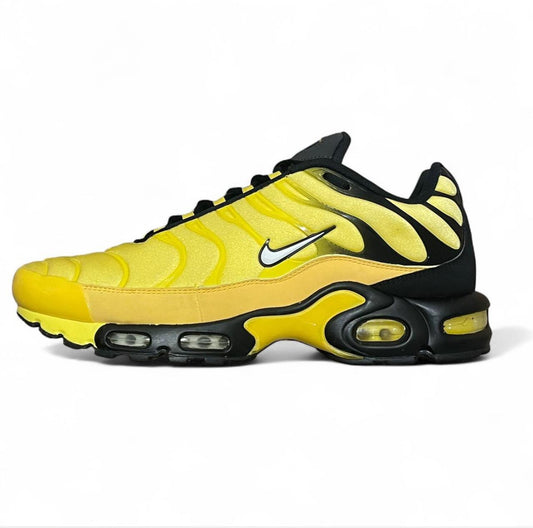 AV7940-700 Nike Air Max Plus TN ‘Wu Tangs’
‘Frequency Pack’ (2018)