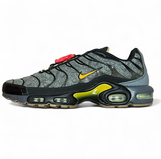DC7392-300 Nike Air Max Plus TN ‘Fresh Perspective’ (2020)