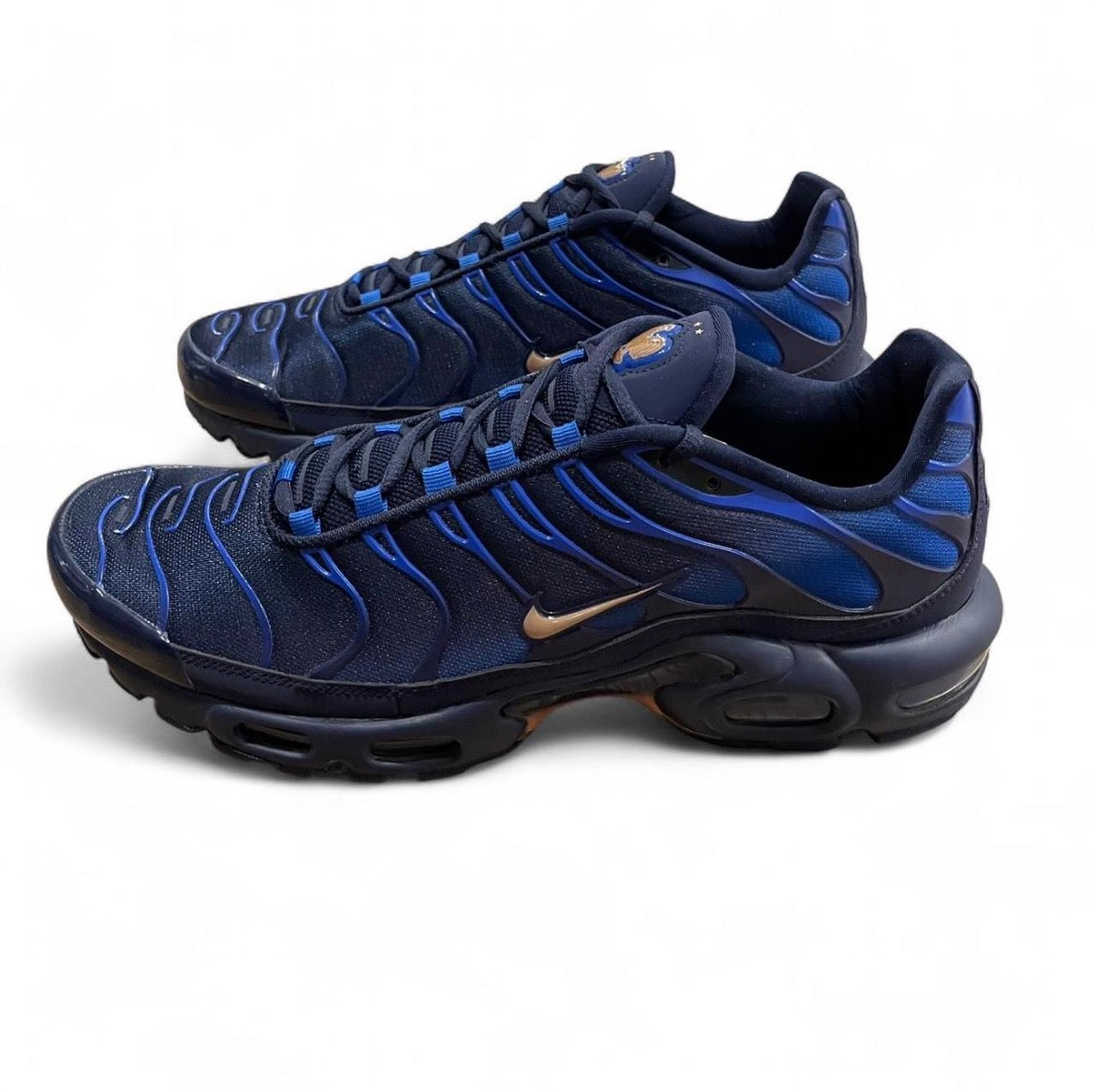 IQ0170-400 Nike Air Max Plus TN ‘French Football Federation’ (2026)