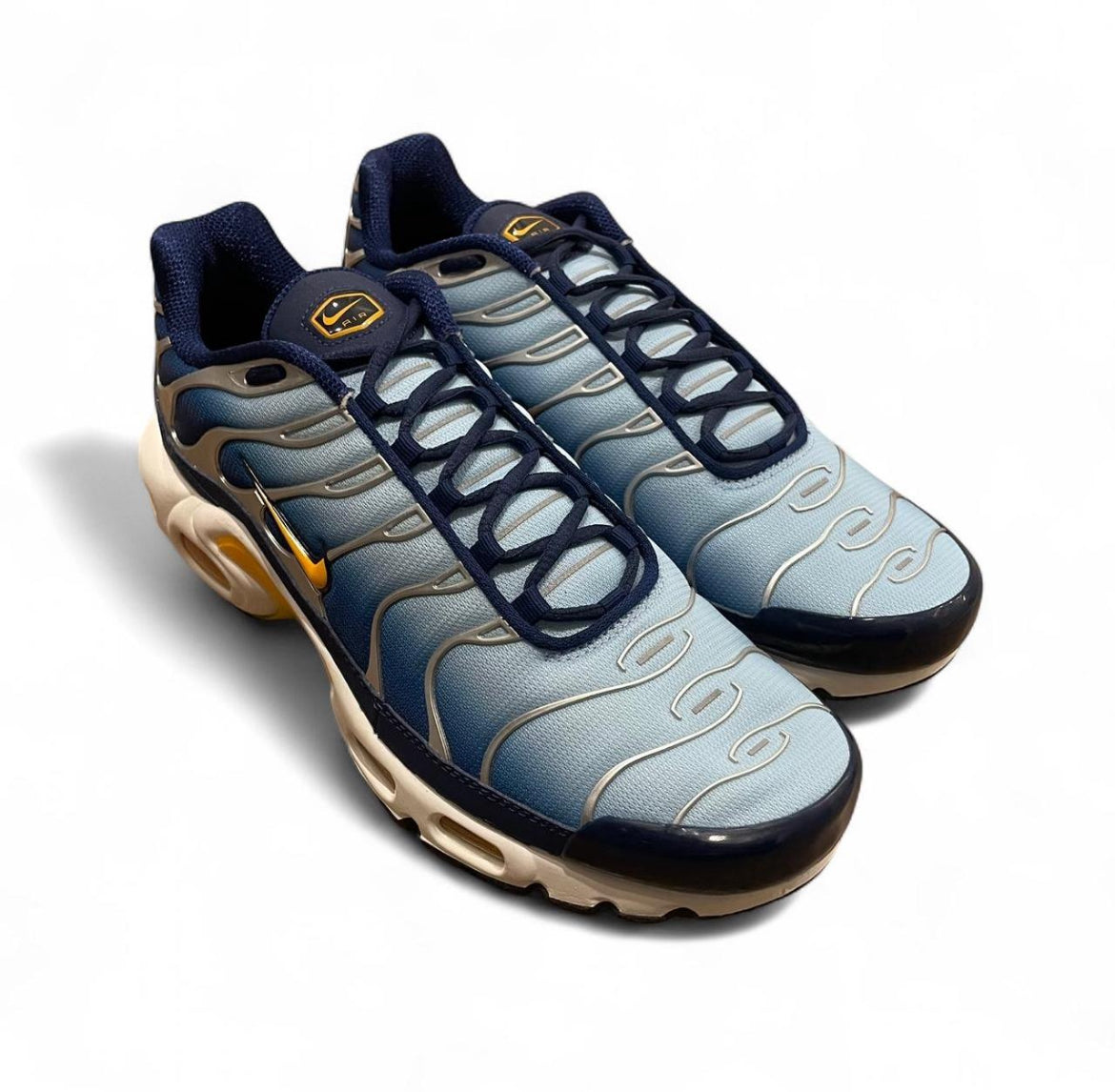 DM3530-400 Nike Air Max Plus TN ‘Archives’ (2021)