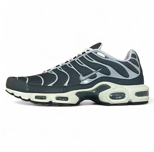 DZ2655-001 Nike Air Max Plus TN SE ‘Greyscale Cool Grey’ (2023)