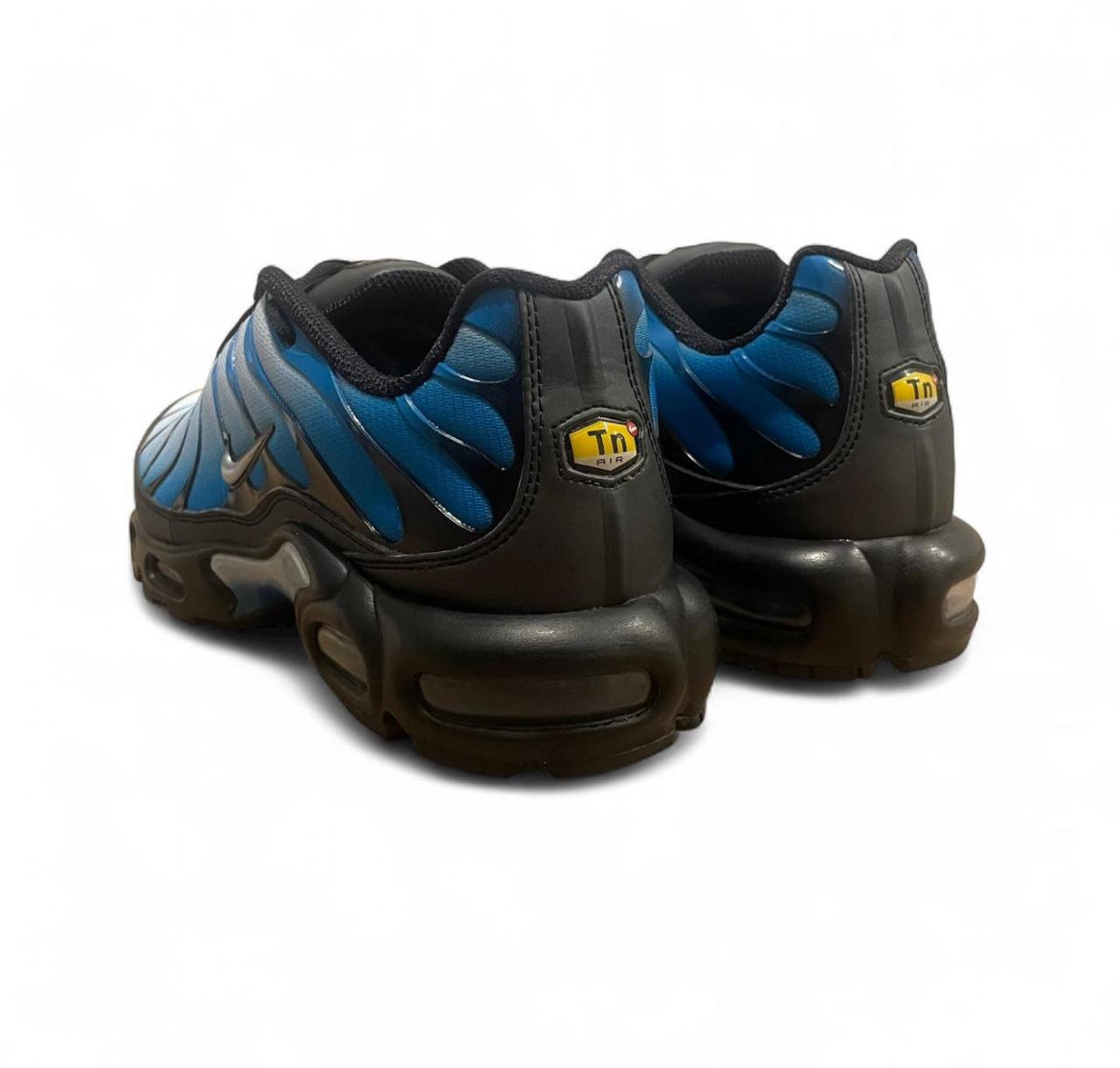 FQ0204-010 Nike Air Max Plus TN ‘Blue Gradient Neptune’ (2023)
