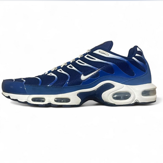 CW7024-400 Nike Air Max Plus TN ‘Arctic Chill’ (2020)