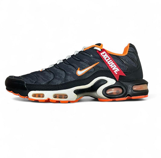 604133-039 Nike Air Max Plus TN ‘Raptors’ (2011)