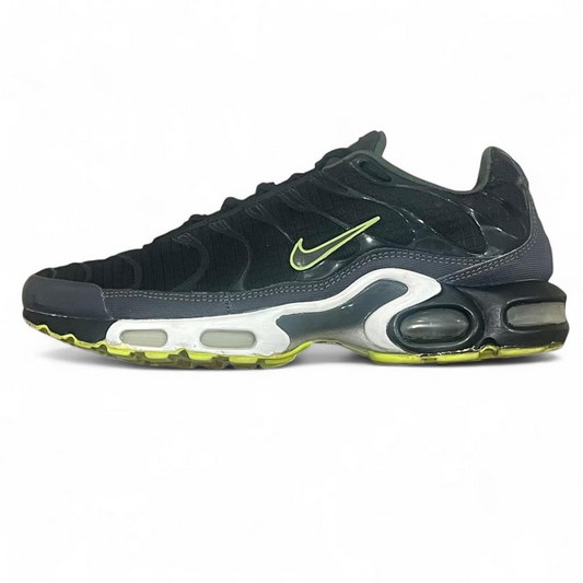 604133-031 Nike Air Max Plus TN ‘Neon Flash Winter’ (2008)