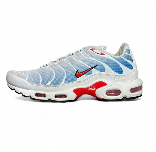 604133-423 Nike Air Max Plus TN ‘Tide’ (2022)