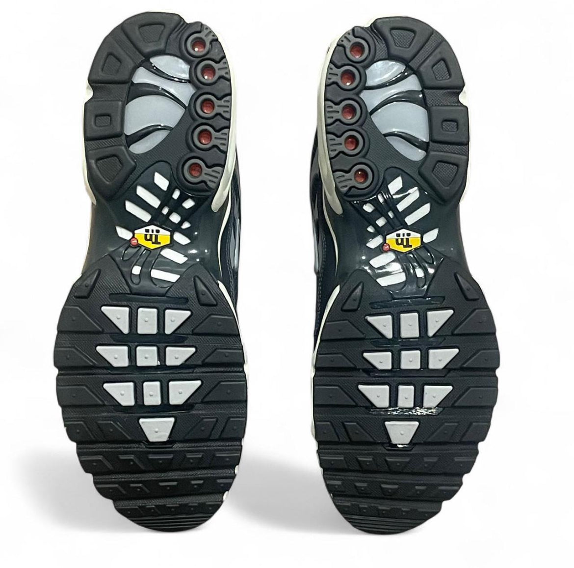 DZ2655-001 Nike Air Max Plus TN SE ‘Greyscale Cool Grey’ (2023)