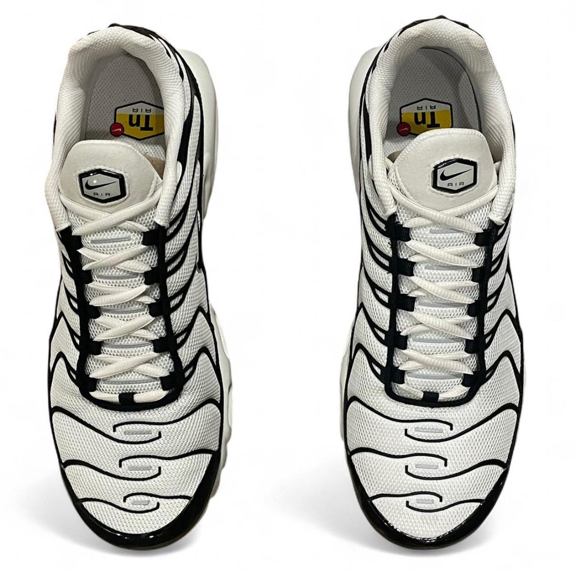 FV6264-001 Nike Air Max Plus TN ‘Panda’ (2024)
