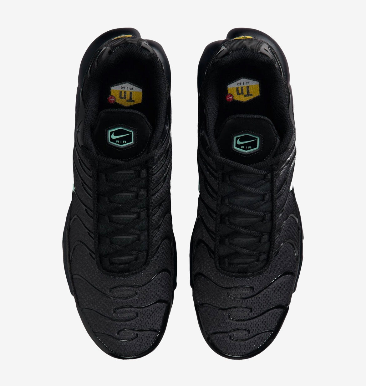 DM0032-029 Nike Air Max Plus TN ‘Black Mint Green’ (2025)