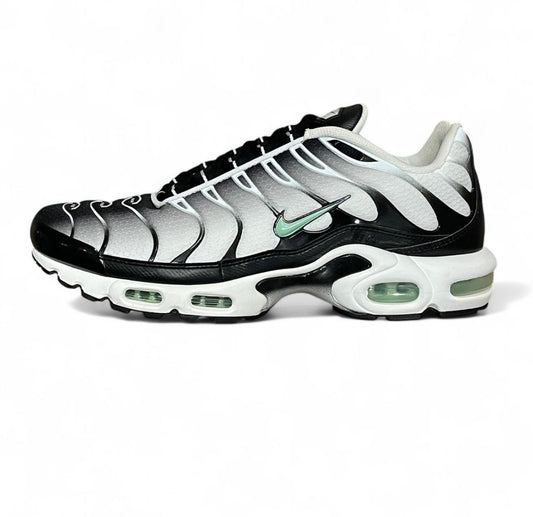 DH4776-100 Nike Air Max Plus TN ‘White Black Mint Green’ (2021)