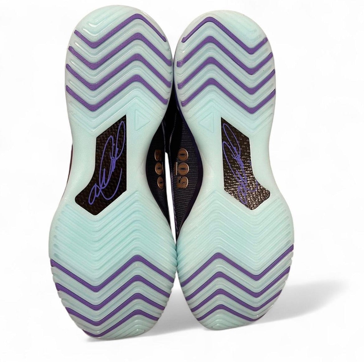 IB1272-501 Nike Zoom LeBron James NXXT Genisus ‘Monopoly Persian Violet’ (Translucent Outsoles) (2025)