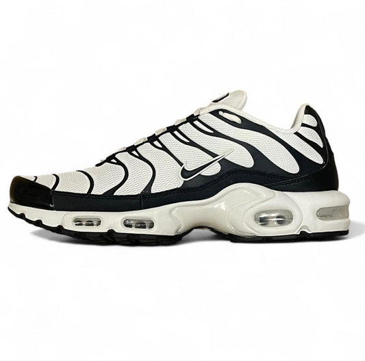 FV6264-001 Nike Air Max Plus TN ‘Panda’ (2024)
