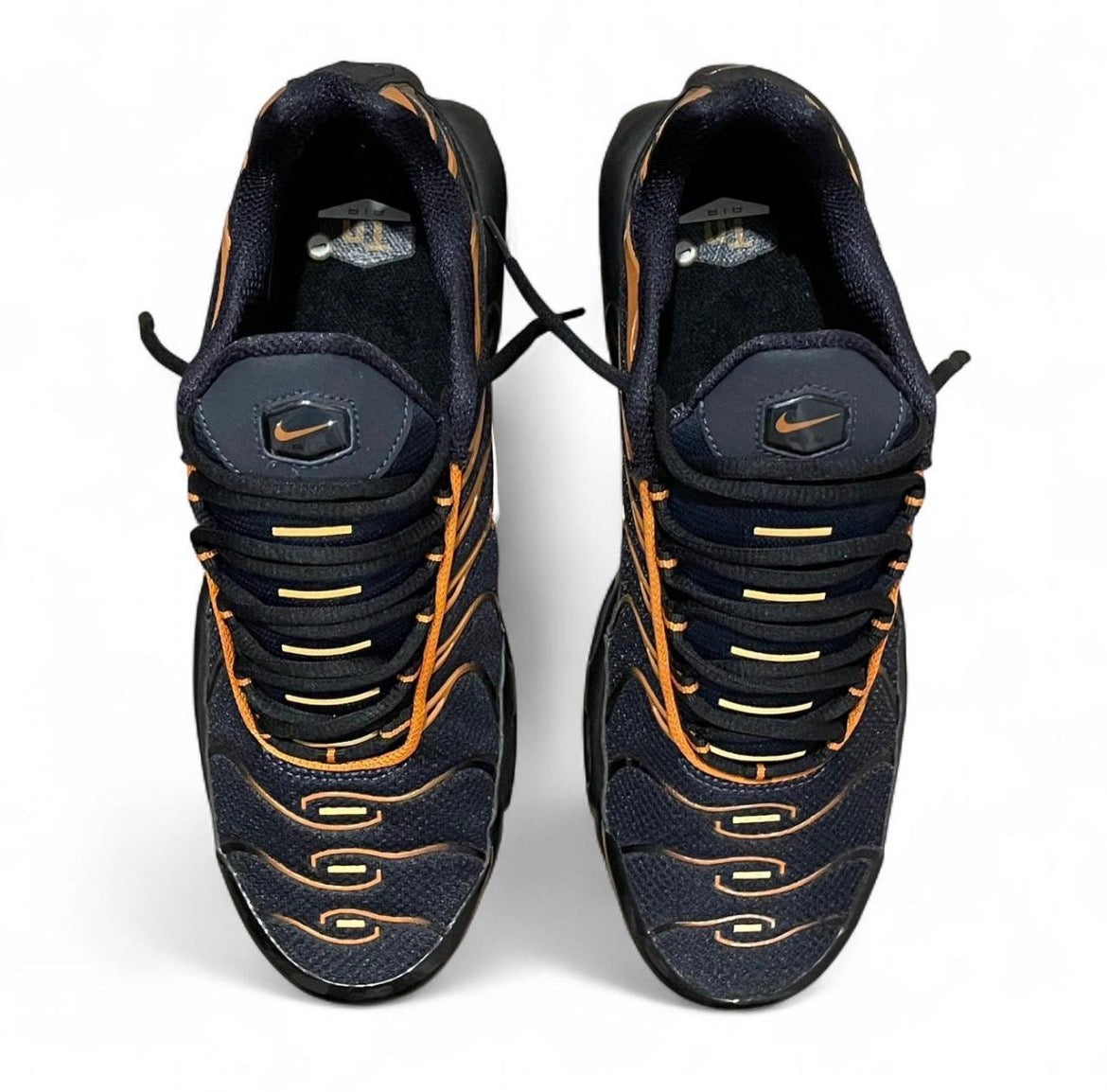 FN6949-400 Nike Air Max Plus TN ‘Dark Obsidian Monarch’ (2024)