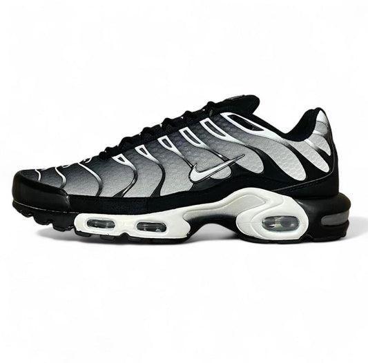 DM0032-003 Nike Air Max Plus TN
‘Black Silver White’ (2022)
